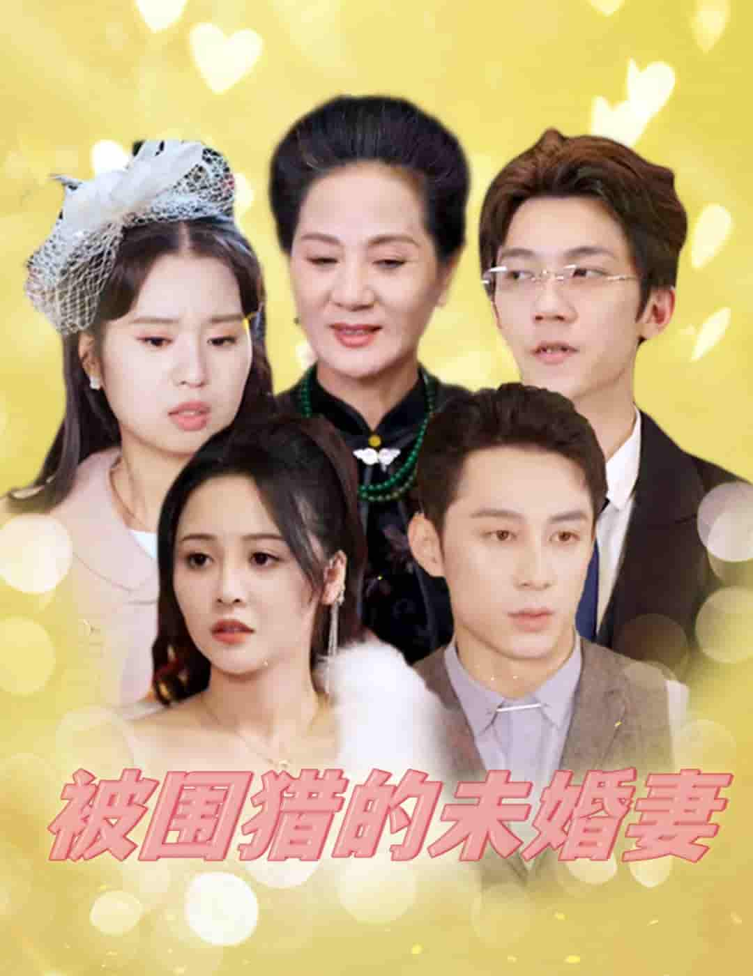 被围猎的未婚妻第09集